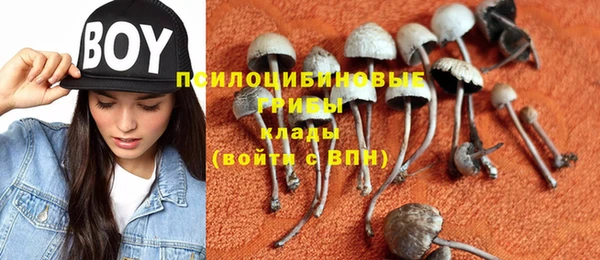 прущая мука Алексин
