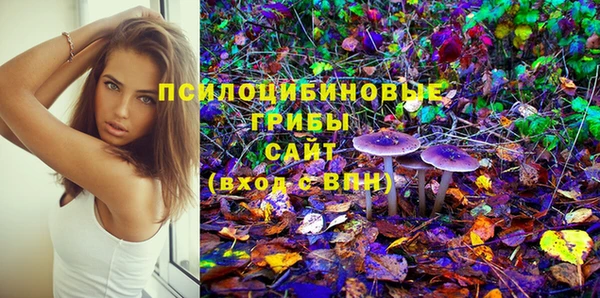 сатива Абинск
