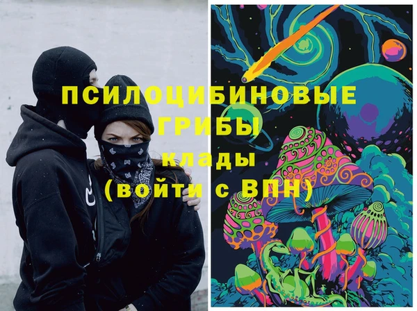 сатива Абинск