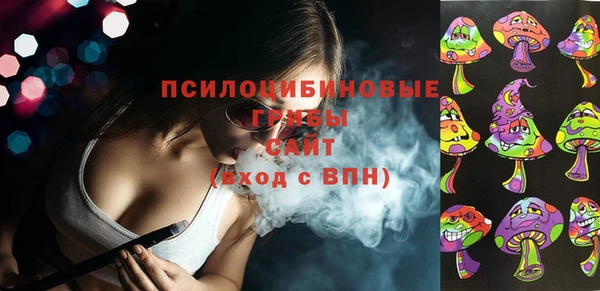 сатива Абинск